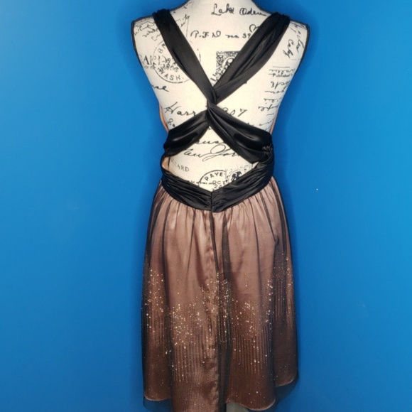 Adrianna Papell Boutique Pink Formal w/ black tule - Picture 6 of 8